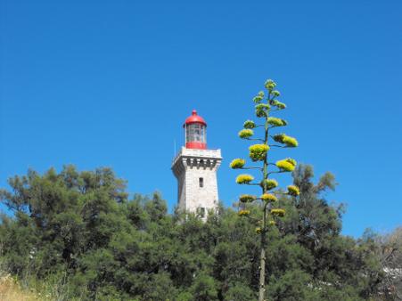 Appartement F3 à louer - 3 pièces - 33 m2 - Argeles Sur Mer - 66 - LANGUEDOC-ROUSSILLON