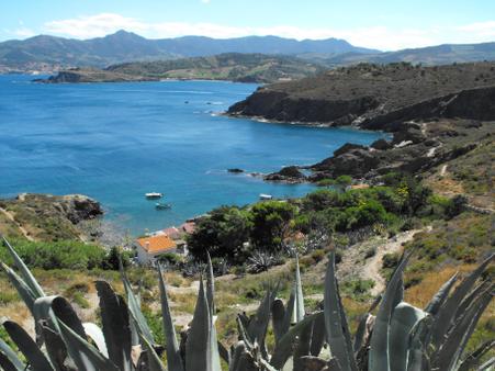 Appartement F2 à louer - 3 pièces - 37,15 m2 - Argeles Sur Mer - 66 - LANGUEDOC-ROUSSILLON