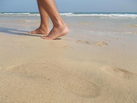 Appartement F3 à louer - 3 pièces - 33 m2 - Argeles Sur Mer - 66 - LANGUEDOC-ROUSSILLON