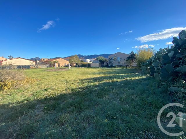 Terrain à vendre - 2000,80 m2 - Argeles Sur Mer - 66 - LANGUEDOC-ROUSSILLON