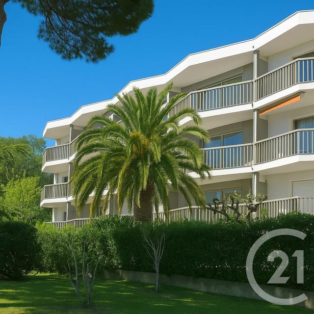 Appartement F2 à louer - 3 pièces - 37,15 m2 - Argeles Sur Mer - 66 - LANGUEDOC-ROUSSILLON