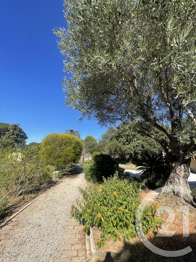 Maison &agrave; louer - 4 pi&egrave;ces - 140,02 m2 - Laroque Des Alberes - 66 - LANGUEDOC-ROUSSILLON