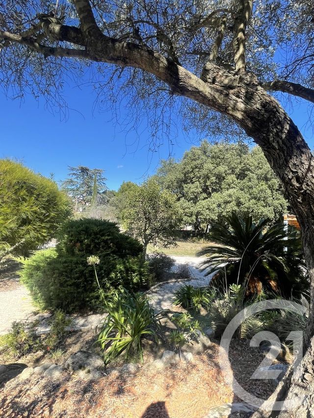 Maison &agrave; louer - 4 pi&egrave;ces - 140,02 m2 - Laroque Des Alberes - 66 - LANGUEDOC-ROUSSILLON