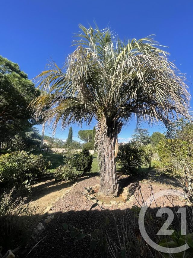 Maison &agrave; louer - 4 pi&egrave;ces - 140,02 m2 - Laroque Des Alberes - 66 - LANGUEDOC-ROUSSILLON