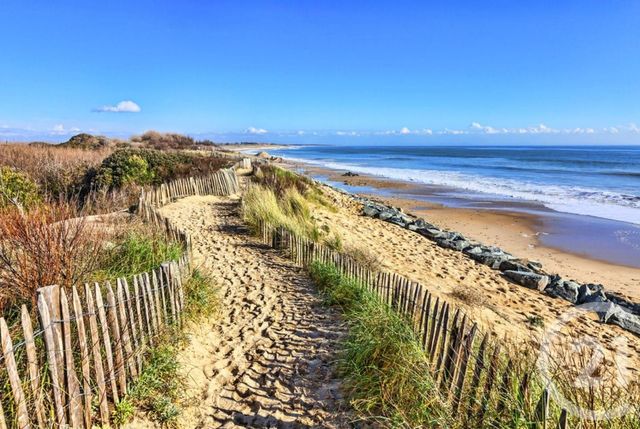 Appartement T2 à louer - 2 pièces - 34,15 m2 - Argeles Sur Mer - 66 - LANGUEDOC-ROUSSILLON