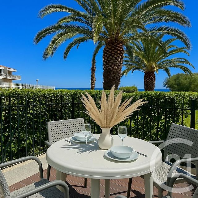 Appartement T1 à louer - 1 pièce - 23,31 m2 - St Cyprien - 66 - LANGUEDOC-ROUSSILLON