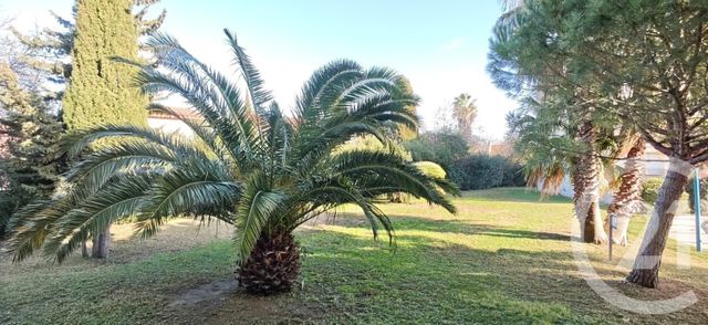 Appartement T2 &agrave; vendre - 2 pi&egrave;ces - 46,55 m2 - Argeles Sur Mer - 66 - LANGUEDOC-ROUSSILLON