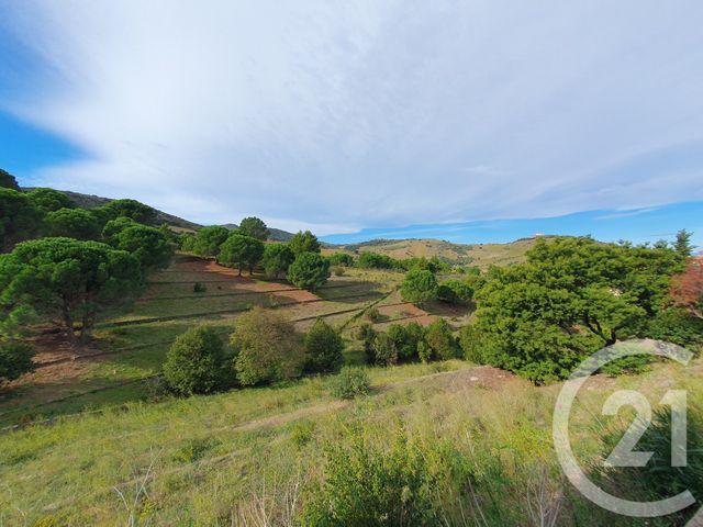 Maison à vendre - 6 pièces - 124,49 m2 - Port Vendres - 66 - LANGUEDOC-ROUSSILLON