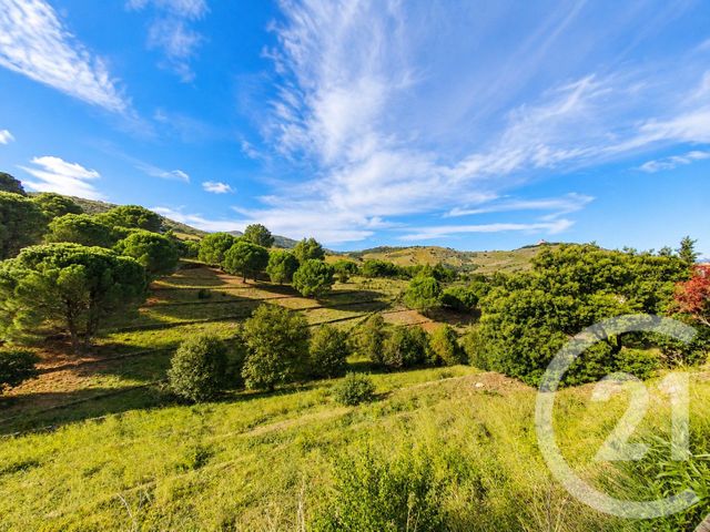 Maison &agrave; vendre - 6 pi&egrave;ces - 124,49 m2 - Port Vendres - 66 - LANGUEDOC-ROUSSILLON