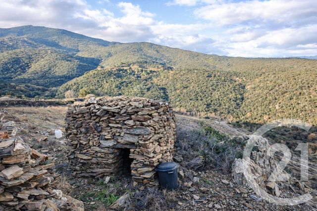 Terrain &agrave; vendre - 10800 m2 - Collioure - 66 - LANGUEDOC-ROUSSILLON