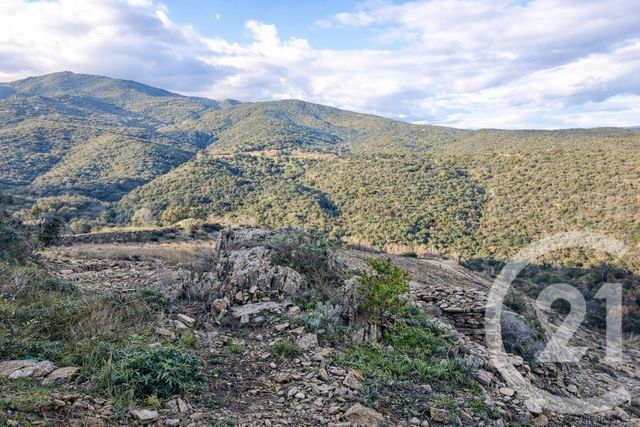 Terrain &agrave; vendre - 10800 m2 - Collioure - 66 - LANGUEDOC-ROUSSILLON