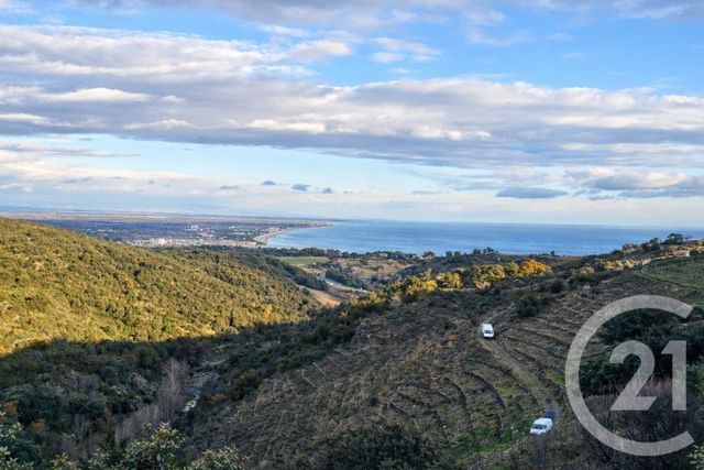 Terrain &agrave; vendre - 10800 m2 - Collioure - 66 - LANGUEDOC-ROUSSILLON