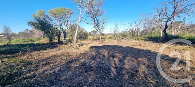 Terrain &agrave; vendre - 1166 m2 - St Andre - 66 - LANGUEDOC-ROUSSILLON