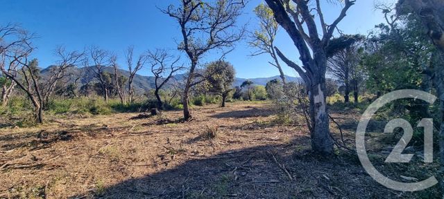 Terrain &agrave; vendre - 1166 m2 - St Andre - 66 - LANGUEDOC-ROUSSILLON