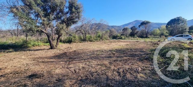 Terrain &agrave; vendre - 1166 m2 - St Andre - 66 - LANGUEDOC-ROUSSILLON