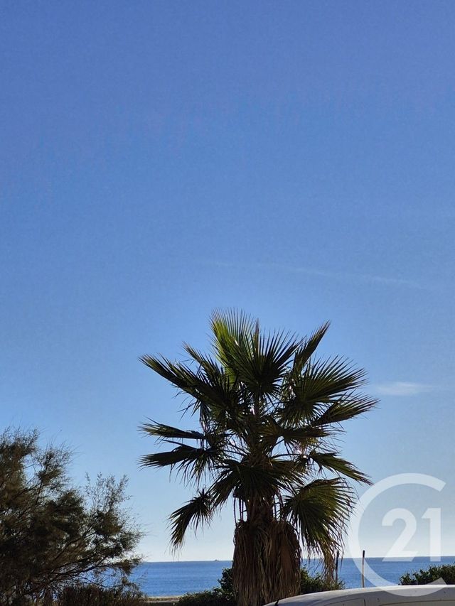 appartement - CANET EN ROUSSILLON - 66