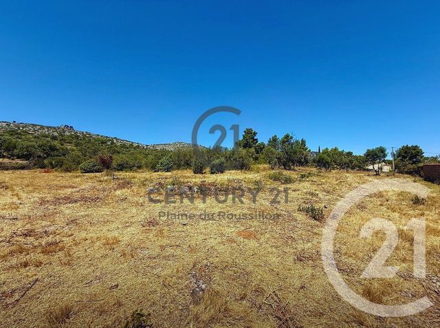 Terrain &agrave; vendre - 7346 m2 - Opoul Perillos - 66 - LANGUEDOC-ROUSSILLON