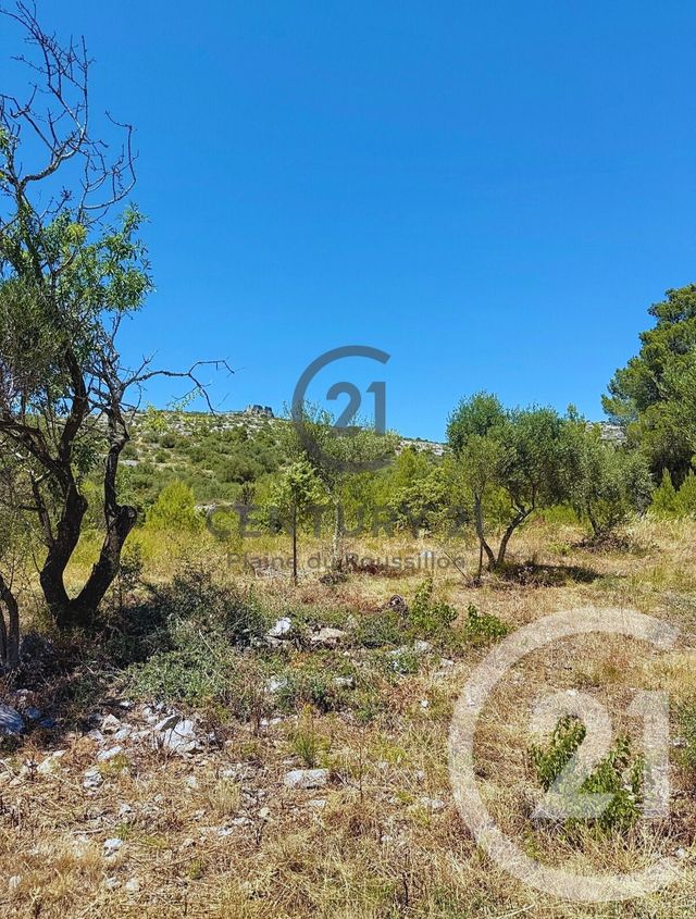 Terrain &agrave; vendre - 7346 m2 - Opoul Perillos - 66 - LANGUEDOC-ROUSSILLON