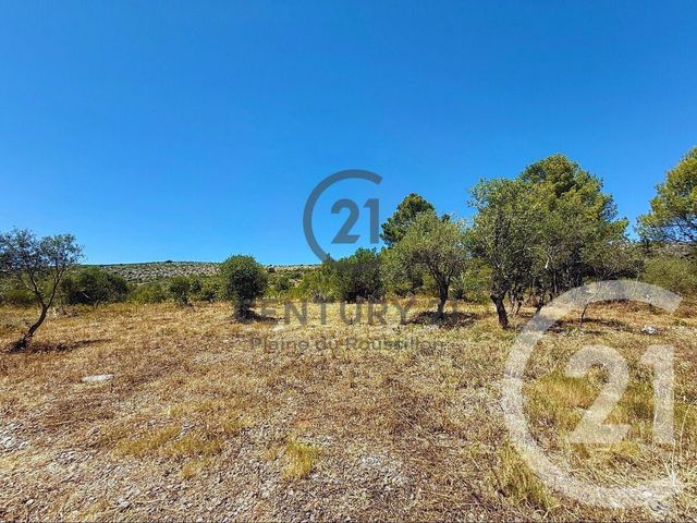 Terrain &agrave; vendre - 7346 m2 - Opoul Perillos - 66 - LANGUEDOC-ROUSSILLON
