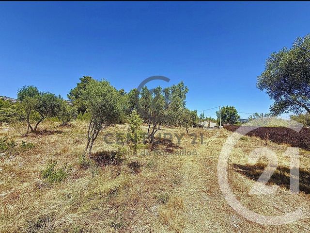Terrain &agrave; vendre - 7346 m2 - Opoul Perillos - 66 - LANGUEDOC-ROUSSILLON
